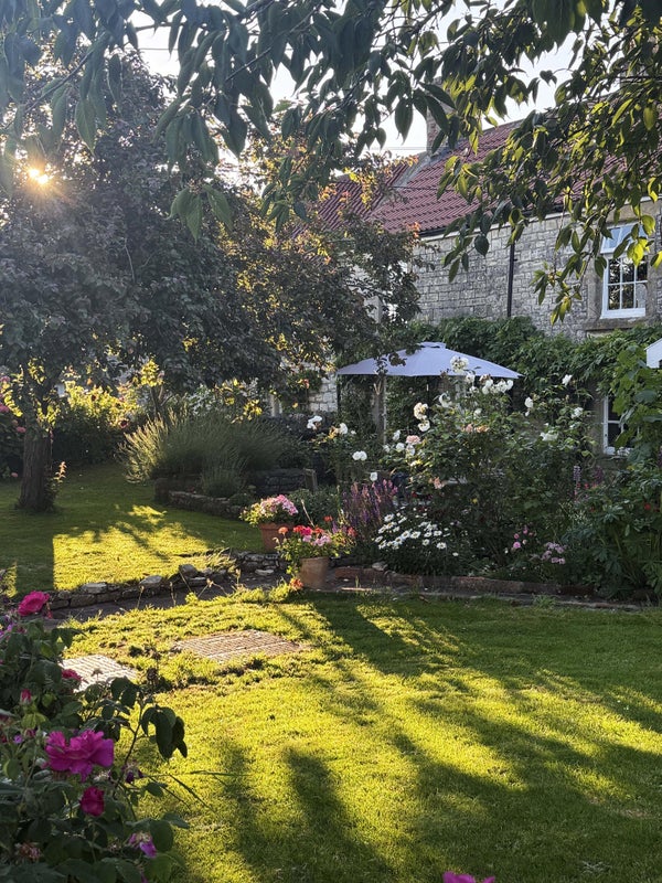 Photo 1: The cottage