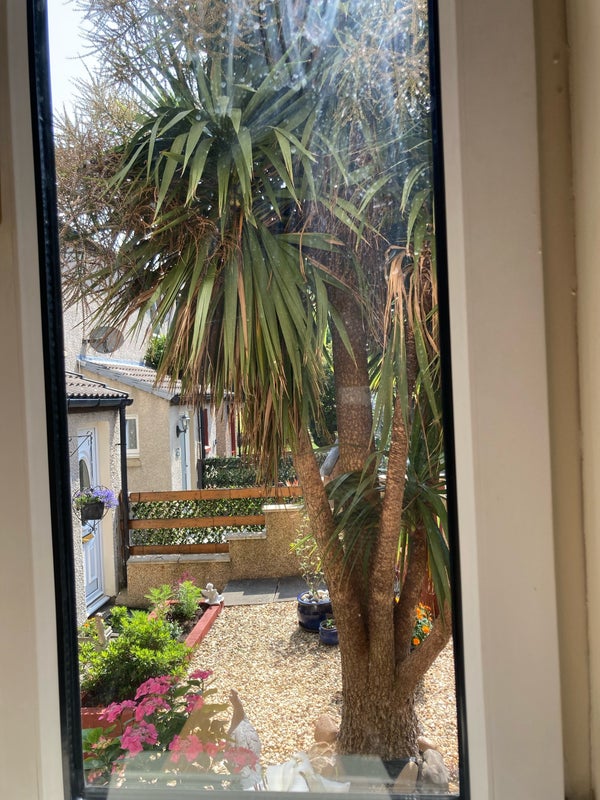 Apartment in Edinburgh, Lochend Colonies, Leith - View 4