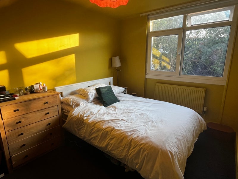 Photo 1: bedroom for rent 