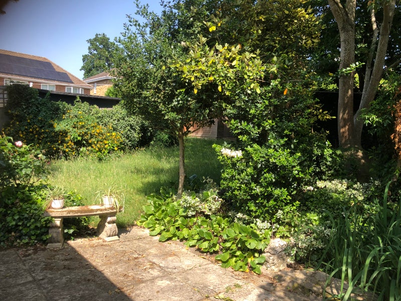 Photo 1: Peaceful garden