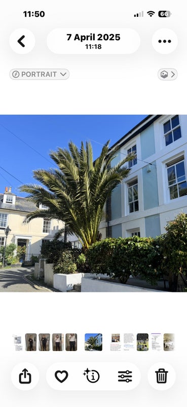 Photo 1: House exterior