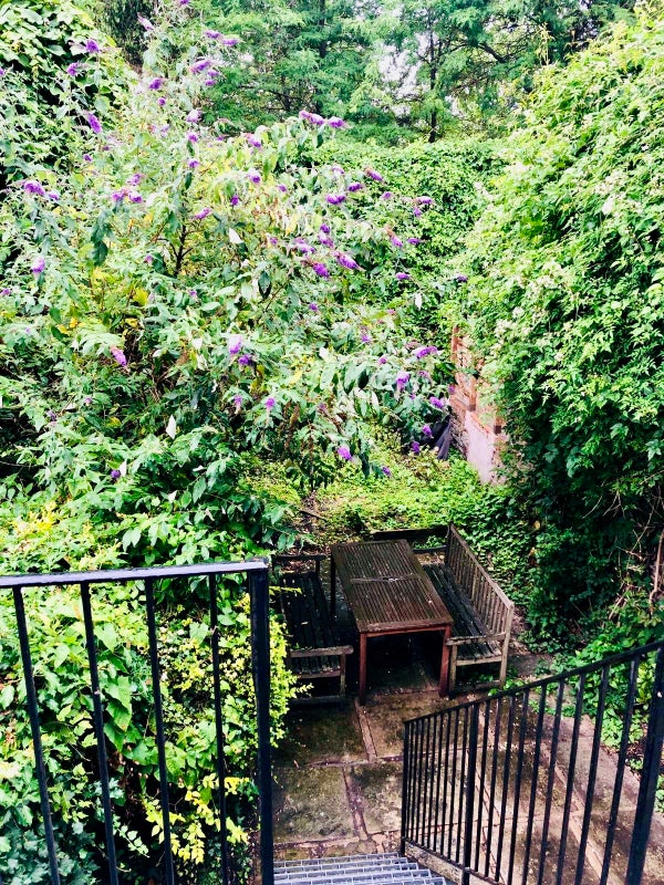 Photo 1: Garden
