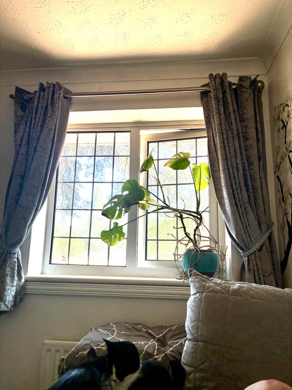 Cozy single room - View 6