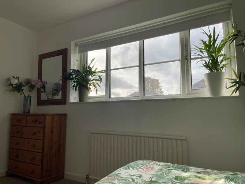 Photo 1: Bedroom