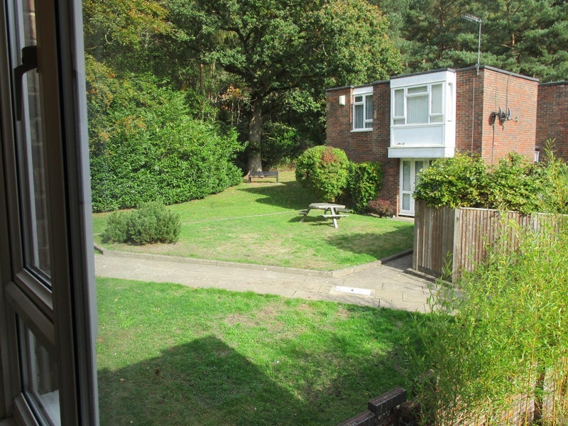 Photo 1: Gardens