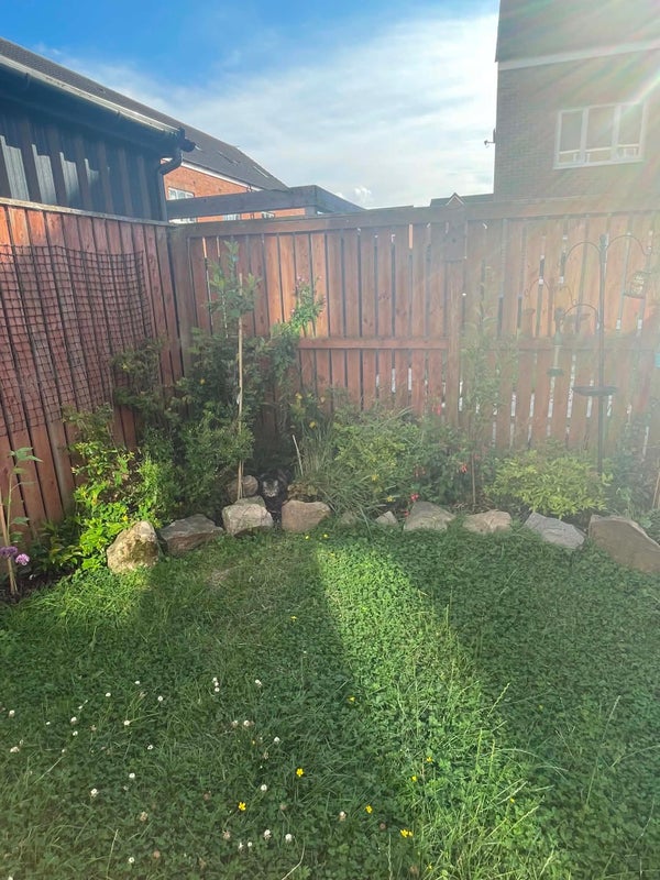 3 Bedroom House edge of Bowburn - View 6