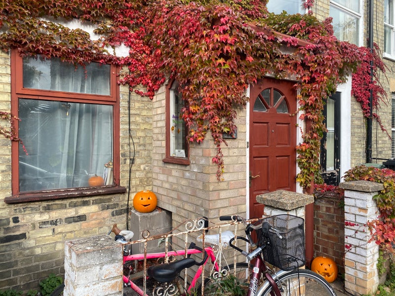 Photo 1: Fig. 1. Our house is the one with the red door. 