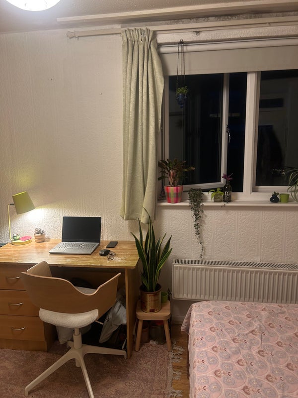 Large room in friendly Bethnal Green flat - View 6