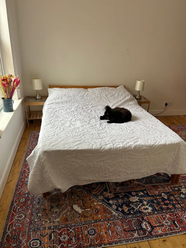 Photo 1: Bedroom
