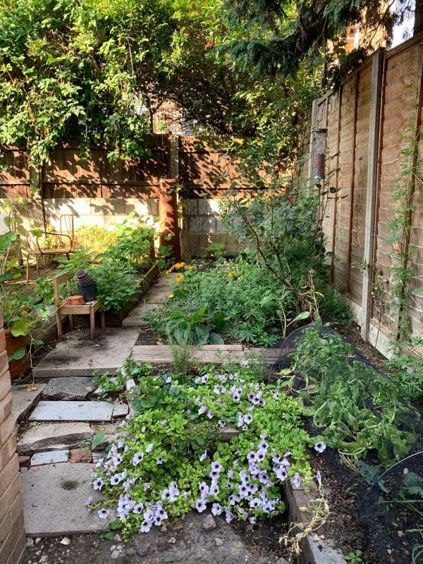 Apartment in Islington - More