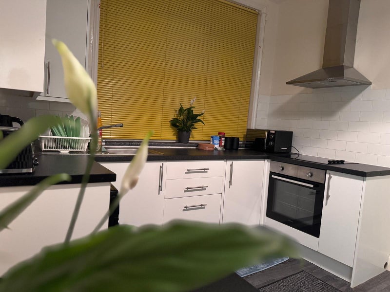 Apartment in Brighton, Queen's Park - More