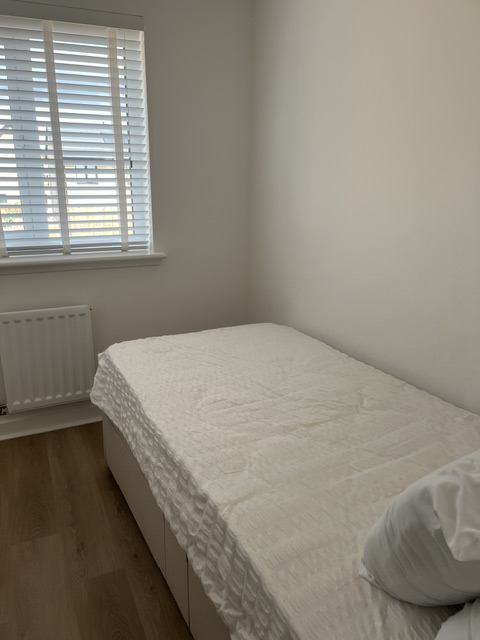 Photo 1: Single Room