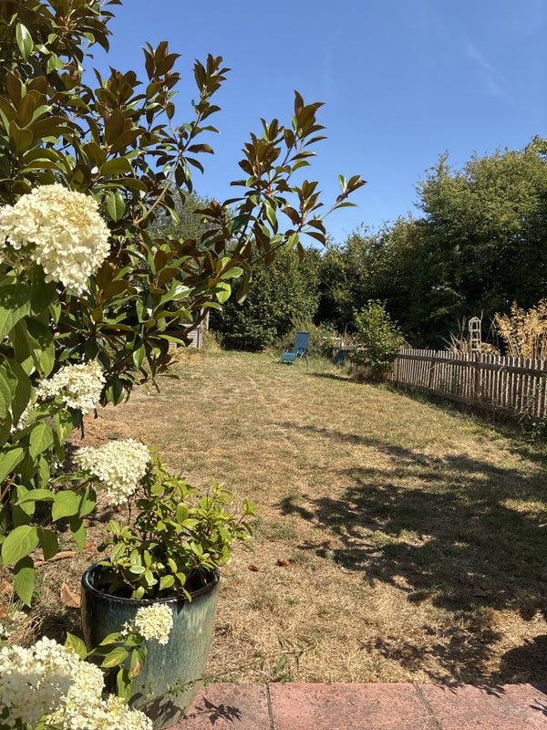 Photo 1: Back garden 