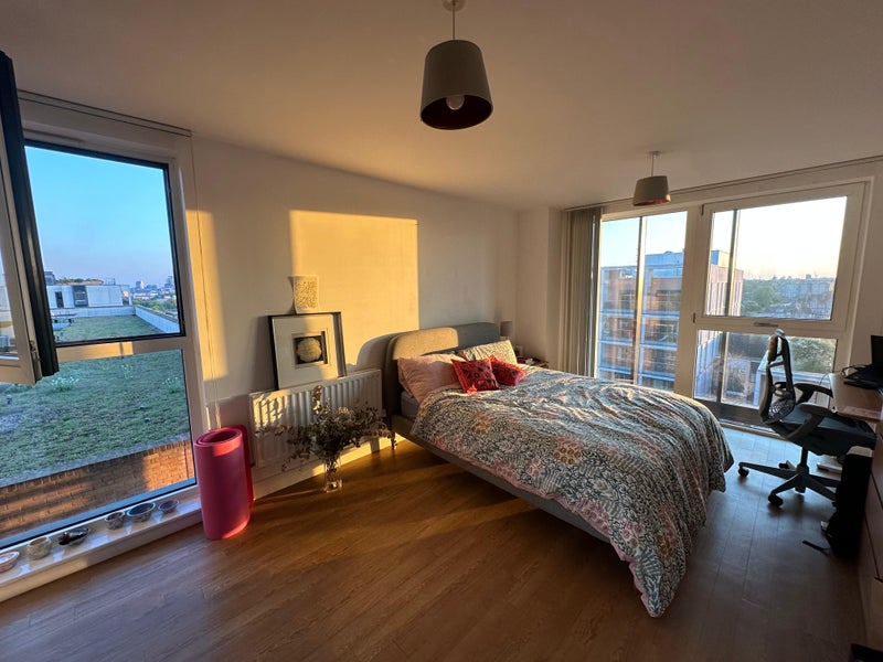 Photo 1: Large king sized room