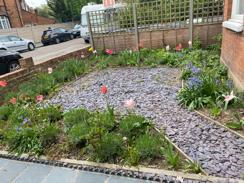 Photo 1: Garden in the front area of property
