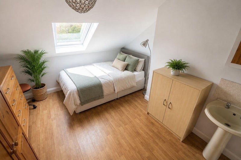 Photo 1: Room 5