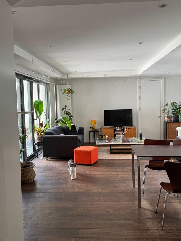 Photo 1: Open plan living with two large slidding doors that open to patios on both side 