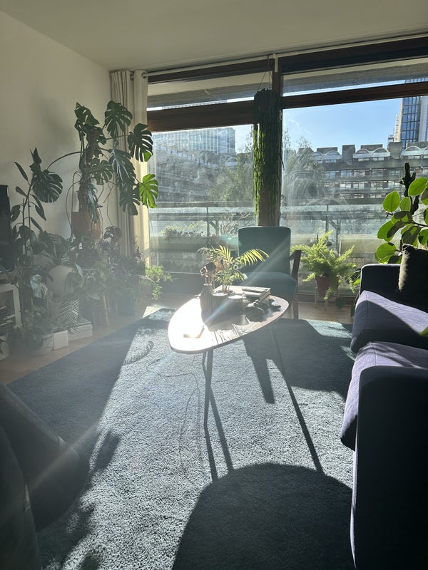 Photo 1: Living room