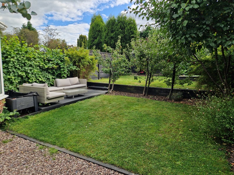 Photo 1: back garden