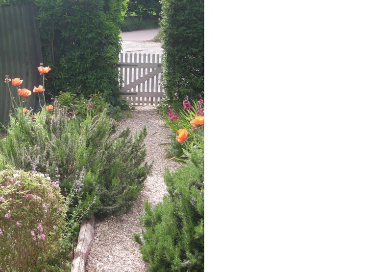 Photo 1: Poppies at the gate 
