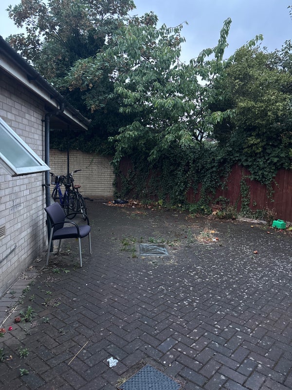 Photo 1: Outdoors