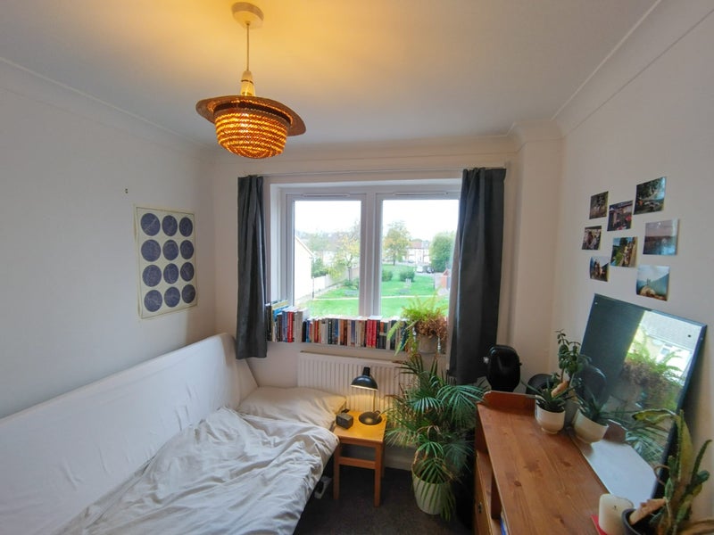 Photo 1: Room