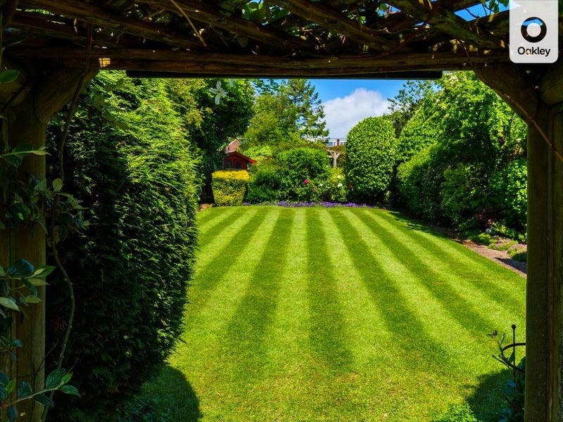 Photo 1: Spring garden