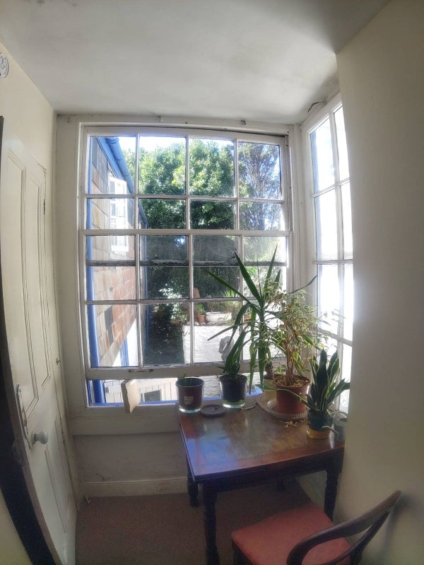 Photo 1: Window looking onto garden
