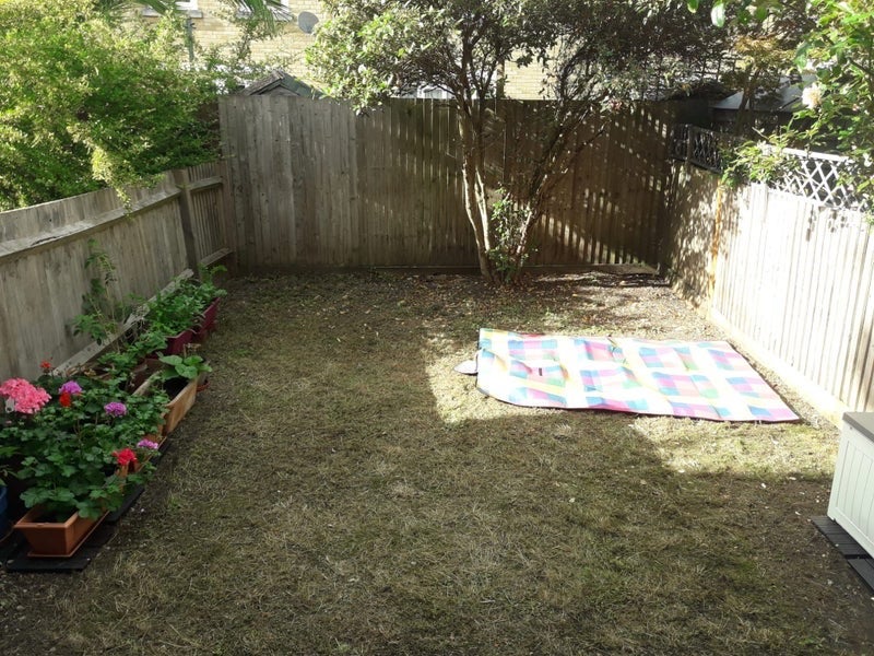 Photo 1: Garden