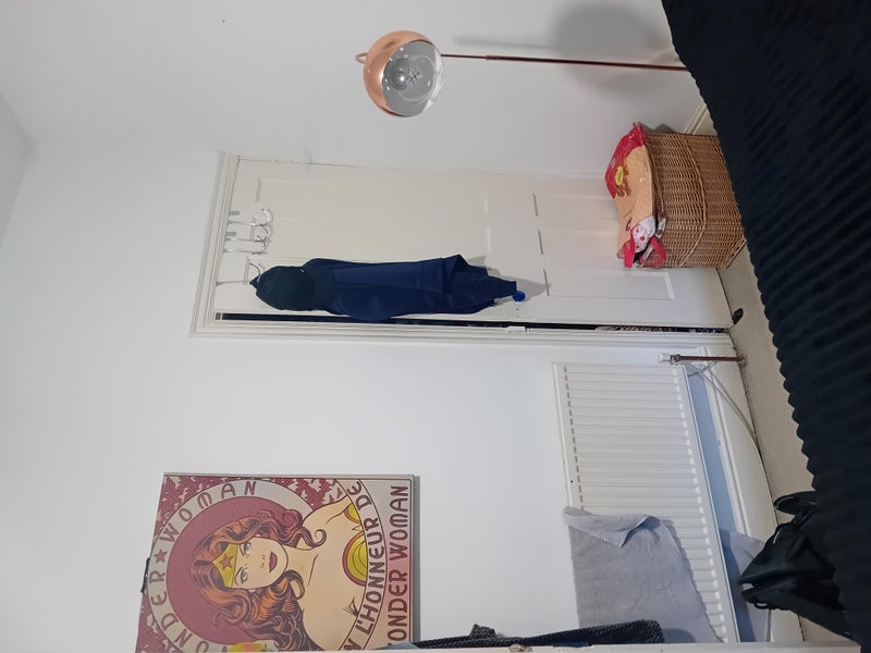 Photo 1: Walk in cupboard/wardrobe