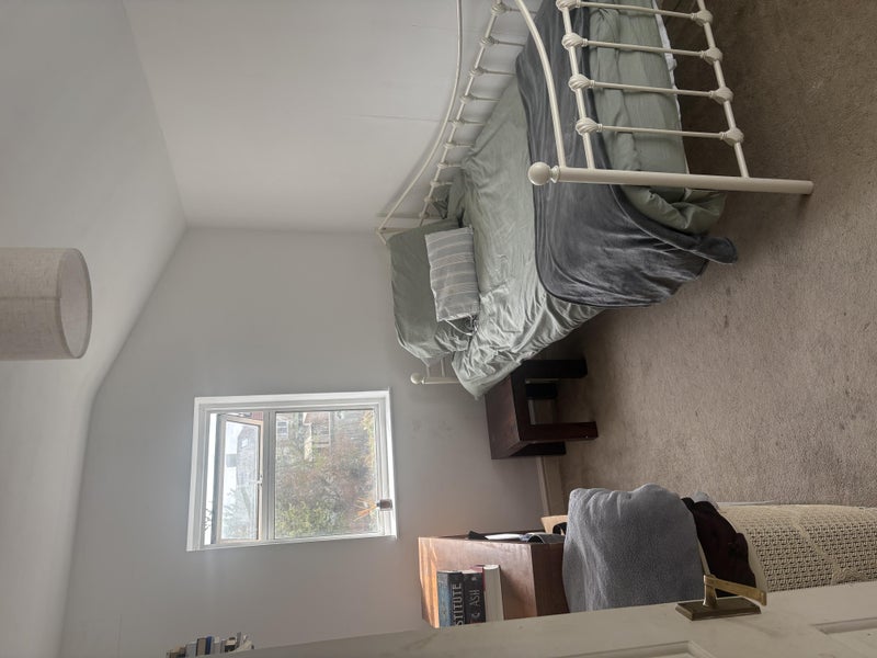 Photo 1: Single room backing on to a quiet back garden 