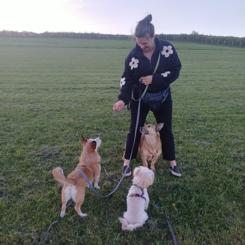 Photo 1: The dogs and me