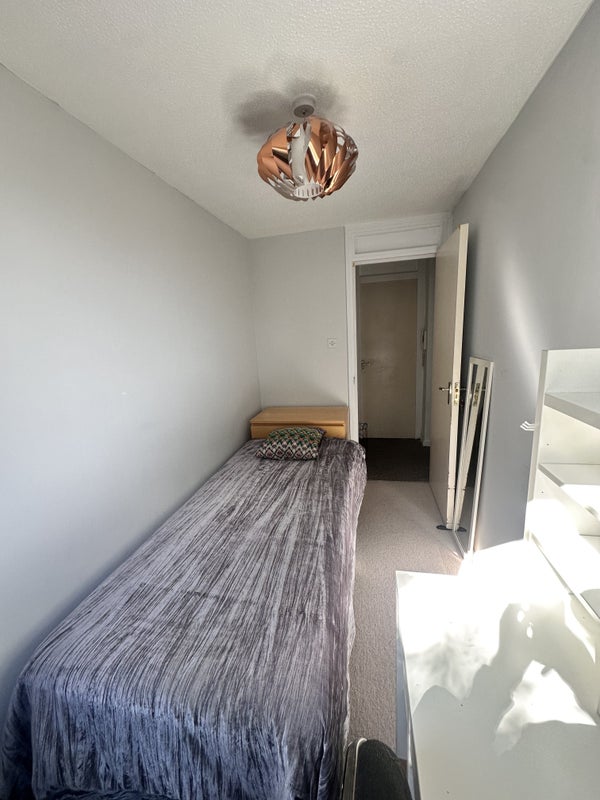 Photo 1: Bright warm bedroom 