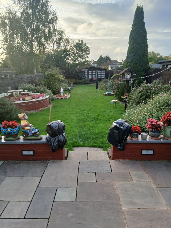 Photo 1: back garden