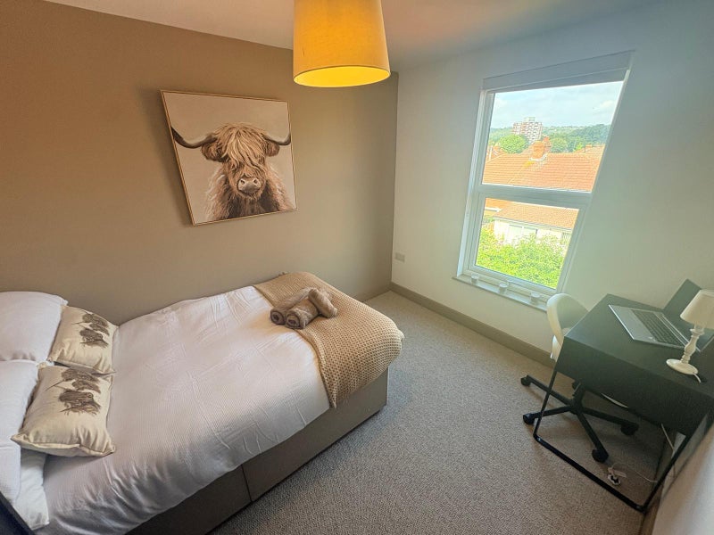 Photo 1: Room 6