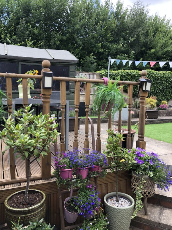 Photo 1: Garden