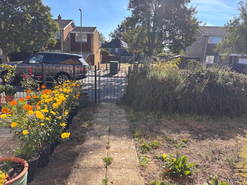 Photo 1: Front garden and bus stop 