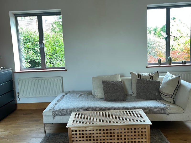 Photo 1: Large sofa and coffee table