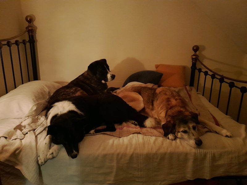 Photo 1: The gang
