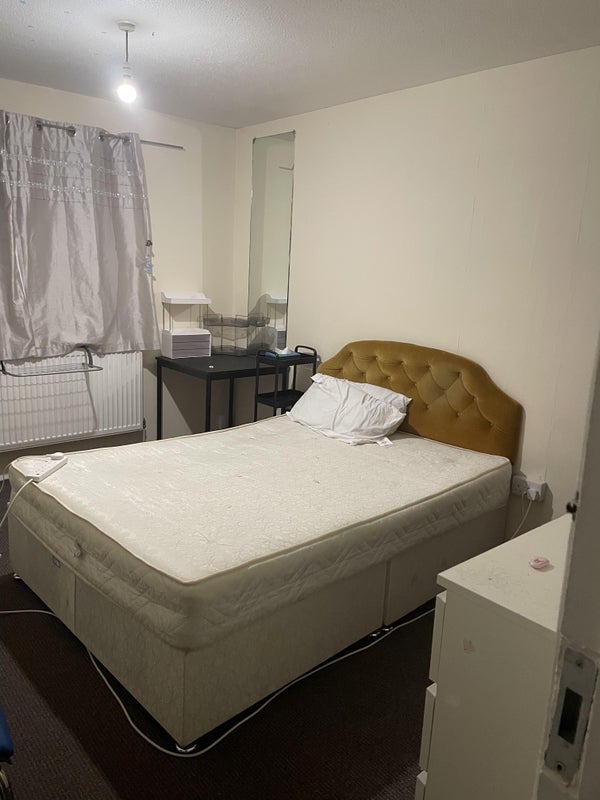 Photo 1: Room