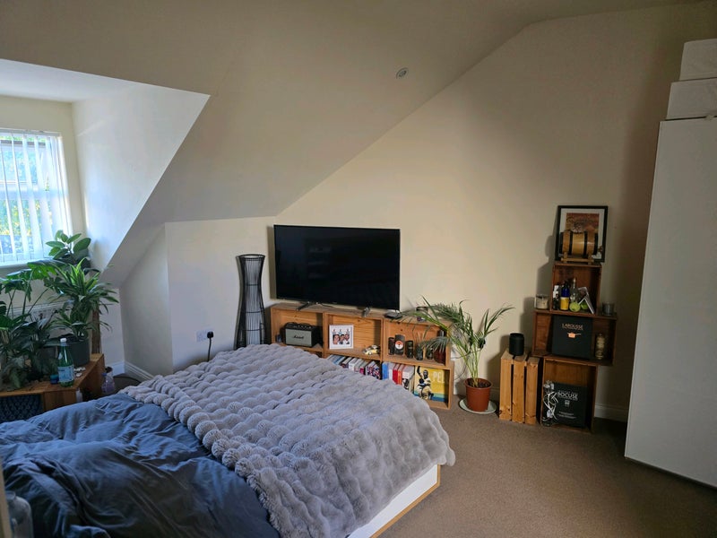 Photo 1: Room available