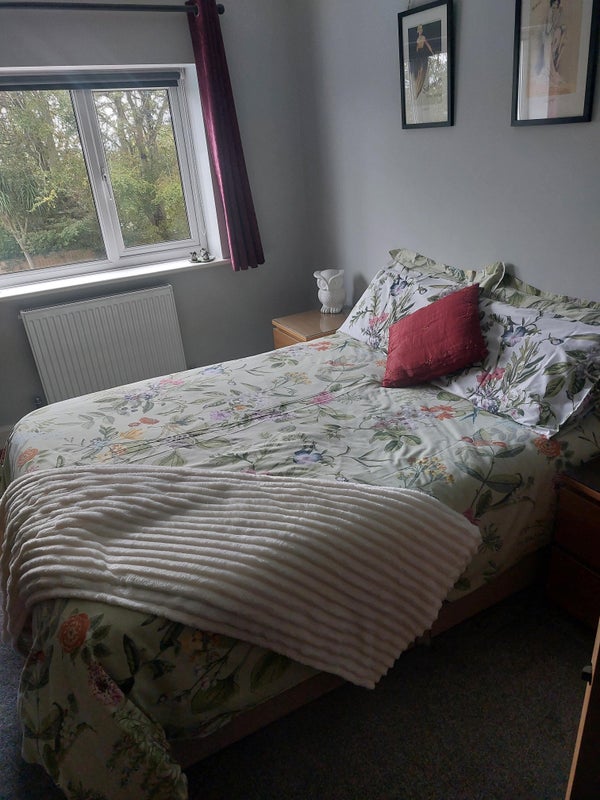 Photo 1: Bedroom