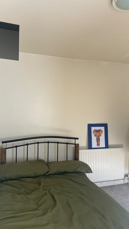 Photo 1: the room!