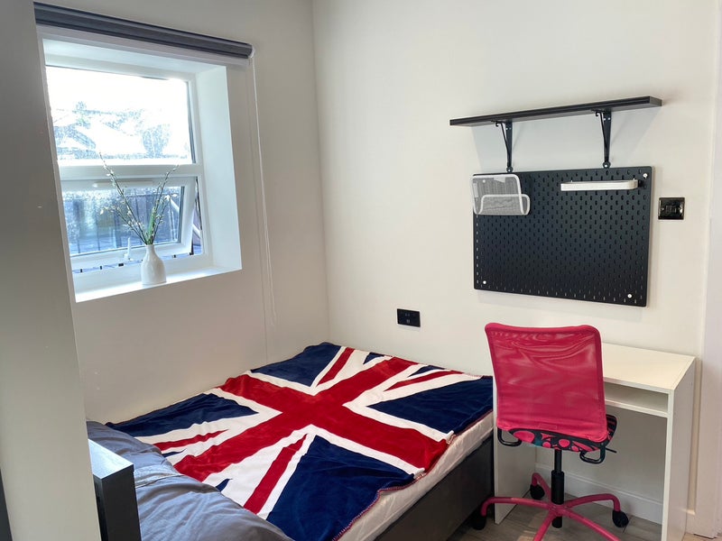 Photo 1: Room