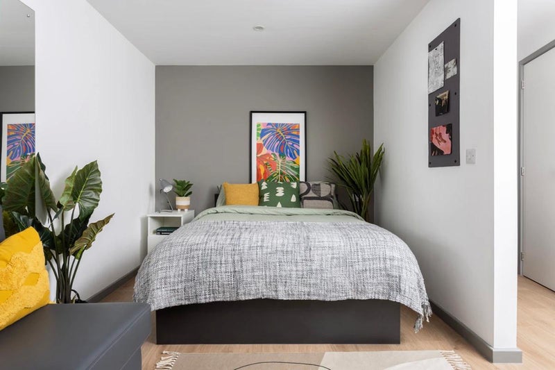 Studio Space Rental 'A Large Standard Studio Accommodation ' Room to Rent from SpareRoom