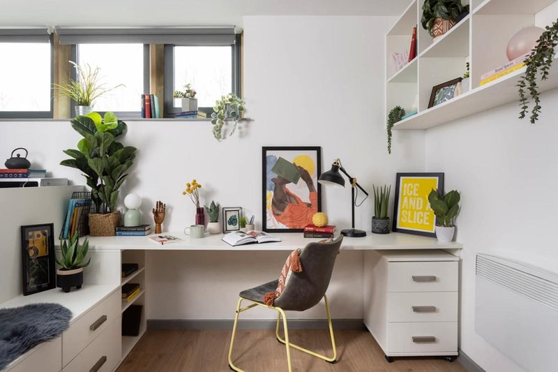 Studio Space Rental 'A Large Standard Studio Accommodation ' Room to Rent from SpareRoom