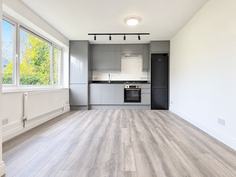 Photo 1: Open Plan Living Room and Kitchenette