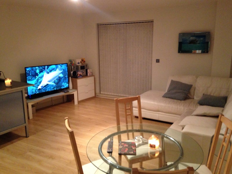 Rooms To Rent With Pets Cardiff Rooms To Rent With Pets Cardiff