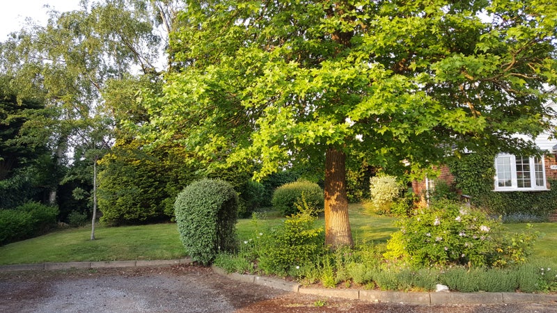 Photo 1: Cul de sac & parking (front garden)