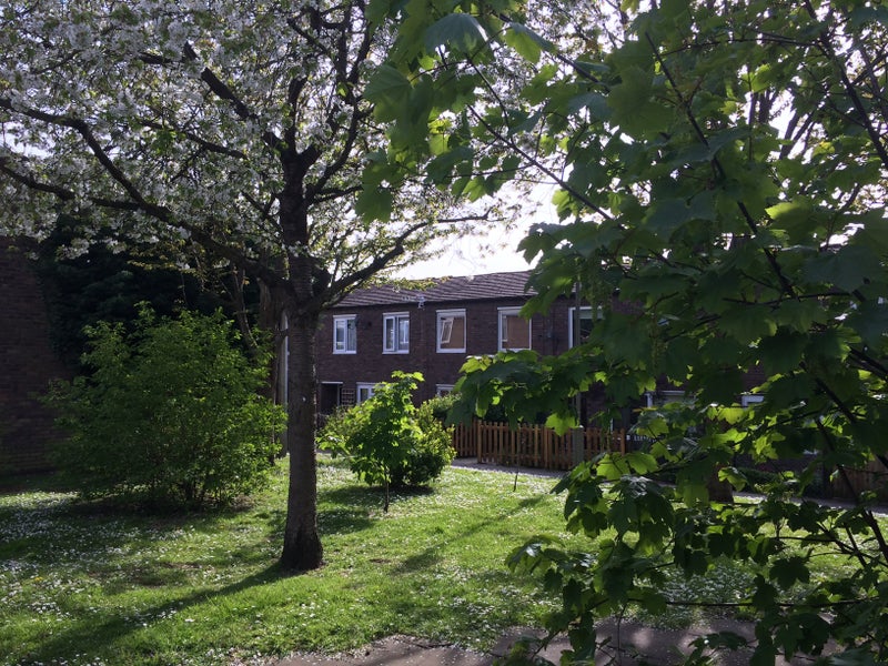 Photo 1: Outlook
